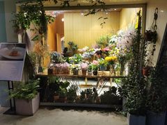 -蝶舍·MAISON PAPILLON