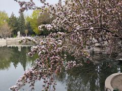 -莲池书院博物馆