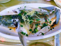 油盐蒸皖鱼-区海鸡场饭店(石壁店)