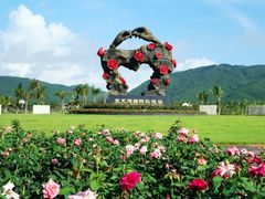 -亚龙湾国际玫瑰谷