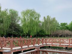 -丰台科技园生态主题公园