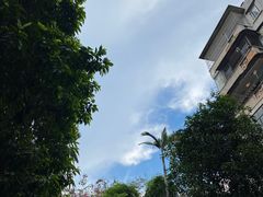 -同济牌坊美贤牛什