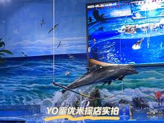 -多彩贵州城极地海洋世界