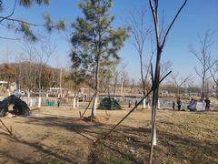 -佛手湖郊野公园