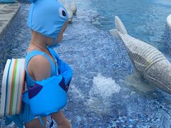 -檀悦都喜天丽度假酒店游泳池