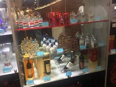 -339旋转餐厅(天府熊猫塔店)