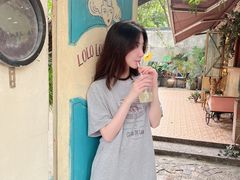 -岭南站NOVA