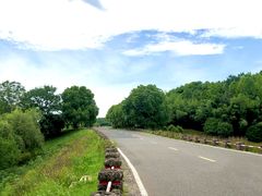 -南京市江宁方山