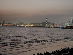 -福田红树林生态公园