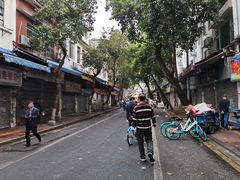 -广宁炭炉鸡煲·富临门饭店