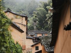 -杨家堂村