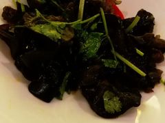 -中国饭店-餐厅