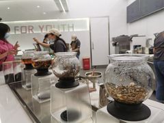 -夻茶HUATEA(水晶郦城店)