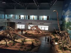 -自贡恐龙博物馆
