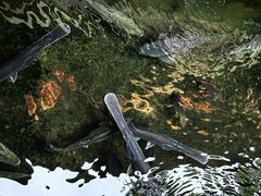 -侠成水上农庄(工业大道店)