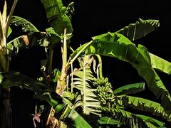 -德宏芒市国际机场