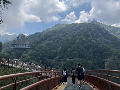 -少华山国家森林公园