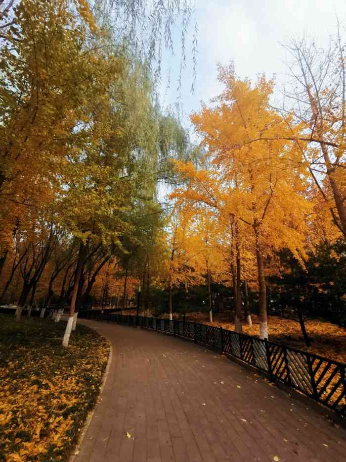 五棵松奥林匹克文化公园-"去成龙电影院看电影,看完了去华西吃口饭,.