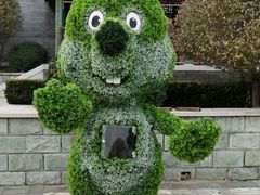 -阳台山自然风景区