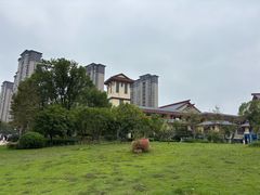 -天屿湖