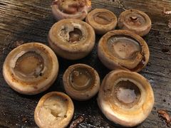 口蘑-犟牛家·榴莲烤肉(五棵松店)