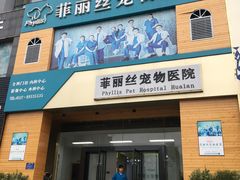 -菲丽丝宠物医院·24小时·猫科中心·免疫点(淮海分院)
