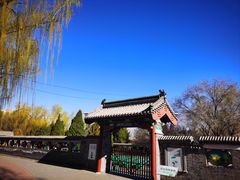 -莲花池公园