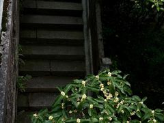 -宁波市保国寺古建筑博物馆