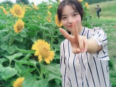 -艾溪湖湿地公园