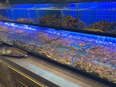 -透明思烤·自助烤肉海鲜火锅(东部星悦天地店)