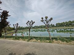 -武汉紫薇都市田园