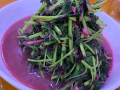-全乐鱼馆·淳牌有机鱼直营店