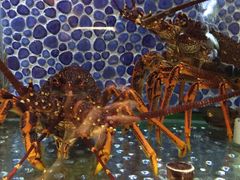 -新花城蟹粉馆(乌鲁木齐店)