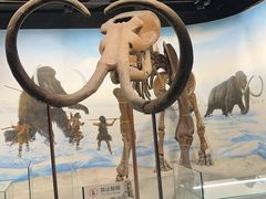 -辽宁古生物博物馆