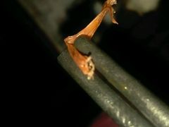 -仙都辣酱鸭(黄兴地铁口店)