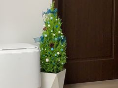 -龙大花卉苗木市场