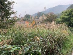 -缙云山景区