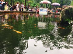 -温江公园
