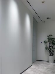-玛莲朵·海菲秀冰珀科