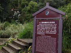 -成都市活水公园