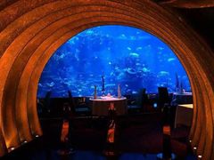 -迪拜帆船酒店海底餐厅
