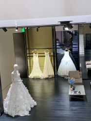 -MuseMarry婚纱(前海嘉里中心店)