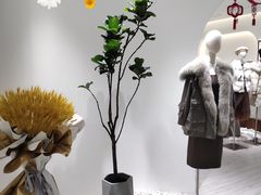 -龙湖南京江北天街