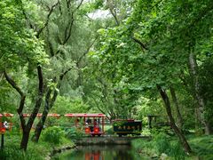 -上海共青森林公园