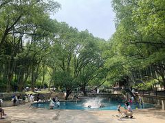 -东明山森林公园