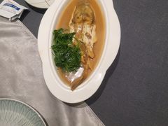-沈灶河豚宴·河豚融合餐厅(汉中路店)