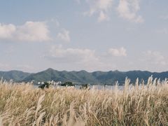 -东钱湖旅游度假区