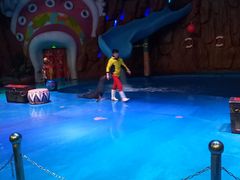 -烟台海昌鲸鲨海洋公园