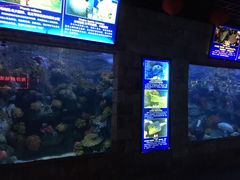 -左海海底世界