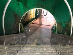 门面-瑞德姆美人鱼海底演艺主题餐厅(亚龙湾店)